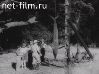 Киножурнал Приключения оператора кинохроники 1930 № 6519