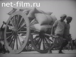 Киножурнал Новости Британии Мувитон 1930 № 22403