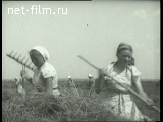 Footage Agriculture Ryazan region. (1950 - 1959)