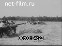 Сюжеты Фронтовая кинохроника Великой Отечественной войны. (1941 - 1945)