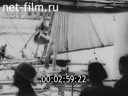 Киножурнал Военные иллюстрированные новости 1943 № 104