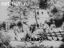 Киножурнал Военные иллюстрированные новости 1943 № 106