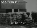 Сюжеты Отечественная кинохроника. (1926 - 1928)