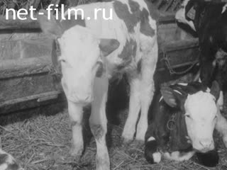 Новости Зарубежные киносюжеты 1969 № 1958
