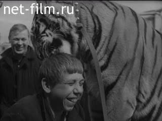 Киножурнал Ленинградская кинохроника 1965 № 24