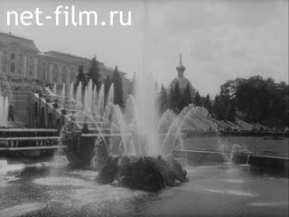 Newsreel Leningrad chronicles 1981 № 24 Decisions of the XXVI Congress of the CPSU - in life!