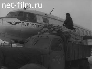 Newsreel Leningrad chronicles 1962 № 6 Towards the elections to the Supreme Soviet of the USSR