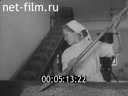 Киножурнал Ленинградская кинохроника 1961 № 27