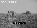 Footage Soviet women. (1934 - 1945)