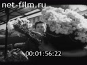 Фильм В стране цветущих померанцев. (1943)