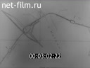 Киножурнал Ленинградская кинохроника 1983 № 36 Стройка в заливе