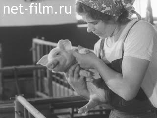 Newsreel Our region 1974 № 37 The fourth is determined by - the percussion work